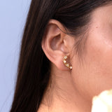 Star Earrings